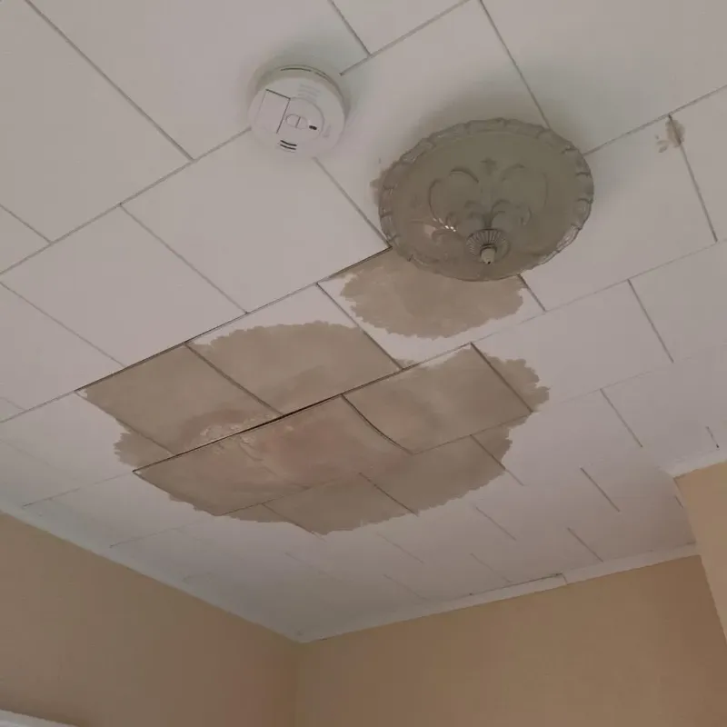 Ceiling Water Damage Repair in DeMotte, IN