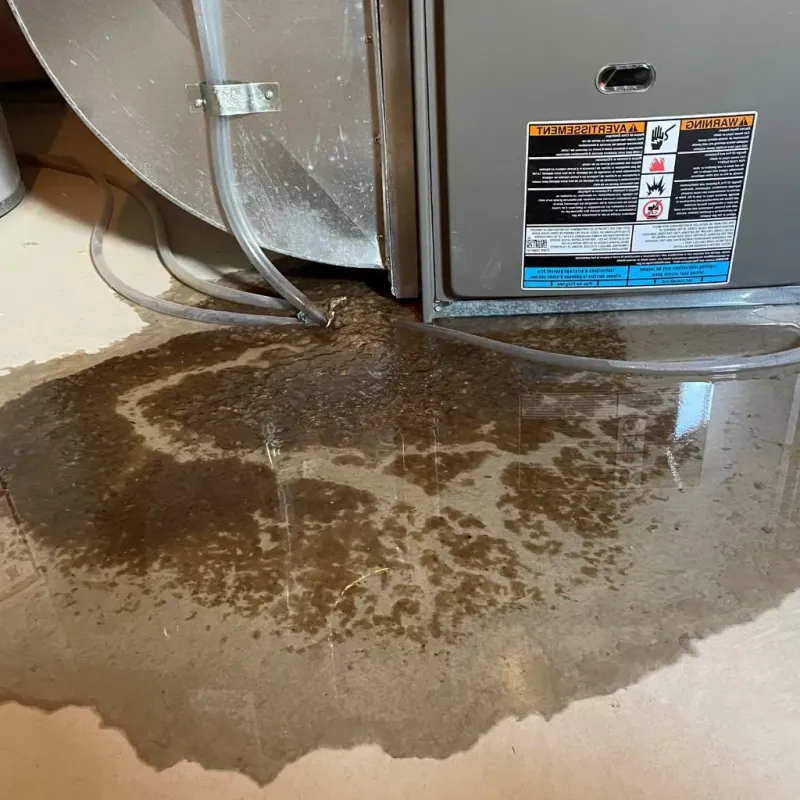 Pipe Burst and Leak Restoration in DeMotte, IN
