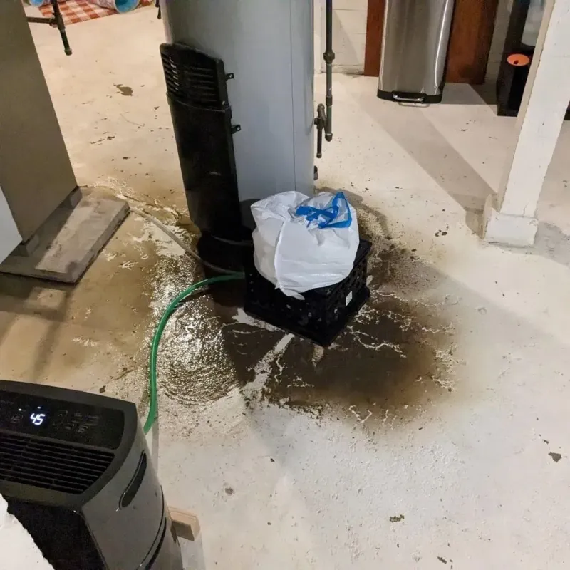 Sewage Backup Cleanup Service in DeMotte, IN